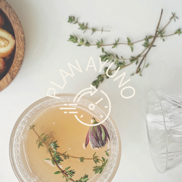 GUIDELINES START FASTING: DIGESTIVE REST