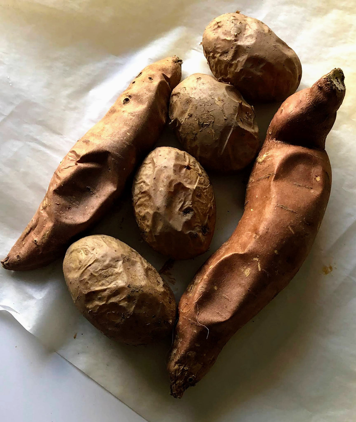 patatas, batatas, patatas prebióticas, batatas prebióticas