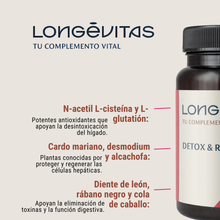 Plan Detox & Reset Longevitas